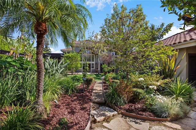 451 W Le Roy Ave, Arcadia, CA 91007 - view of yard