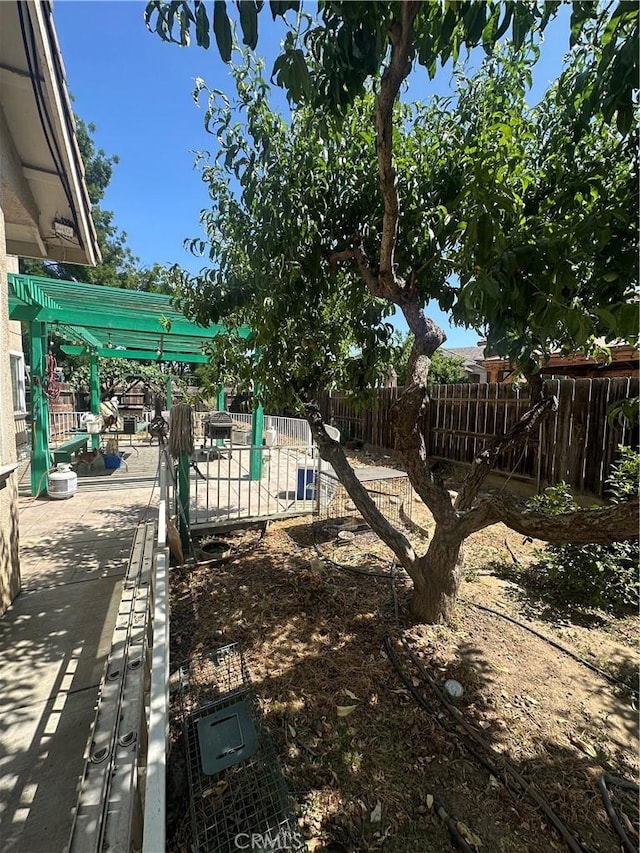 1612 Via Colabria, Gustine, CA 95322 - view of yard
