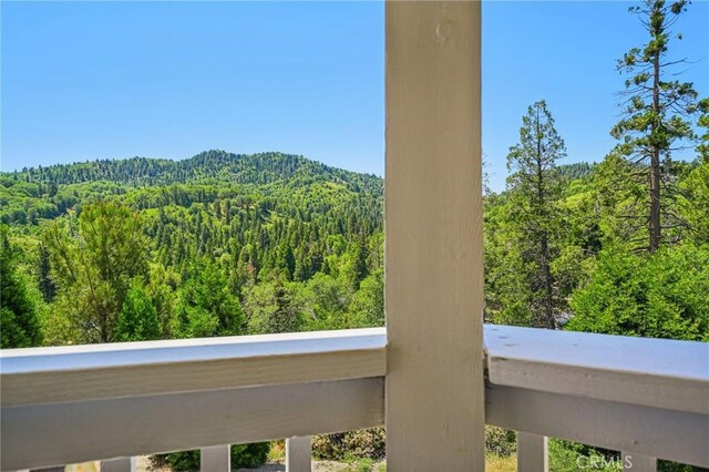 29450 Piney Ln, Cedar Glen, CA 92321 - photo 21