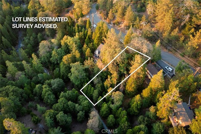 1274 Evergreen Ln, Lake Arrowhead, CA 92352