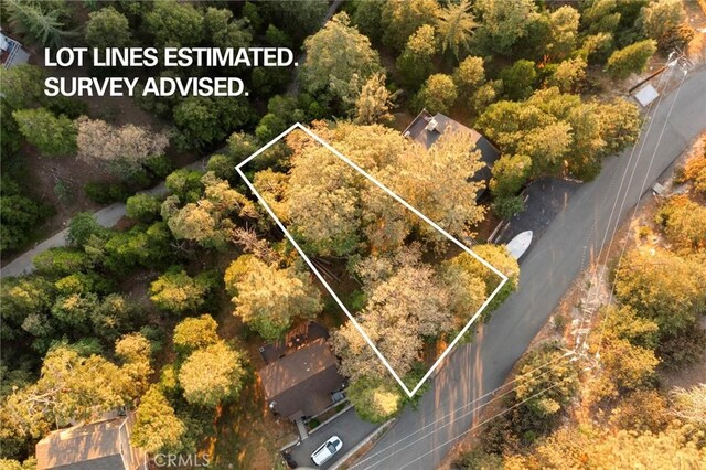 1274 Evergreen Ln, Lake Arrowhead, CA 92352