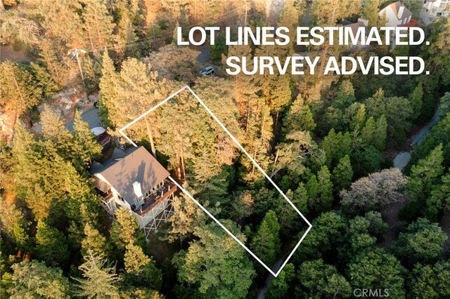 1274 Evergreen Ln, Lake Arrowhead, CA 92352