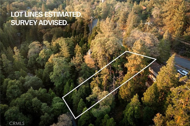 1274 Evergreen Ln, Lake Arrowhead, CA 92352