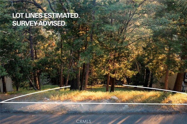 1274 Evergreen Ln, Lake Arrowhead, CA 92352