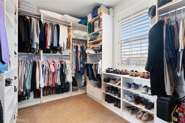 18912 Rockinghorse Ln, Huntington Beach, CA 92648 - walk in closet featuring carpet flooring