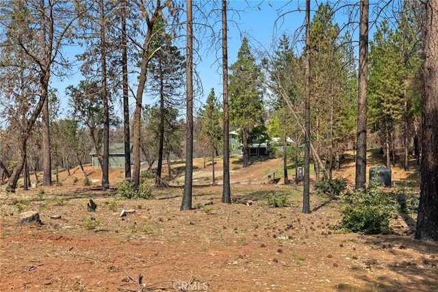 490 Vilas Rd, Chico, CA 95973 - view of undeveloped land