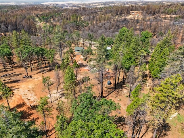 490 Vilas Rd, Chico, CA 95973 - drone / aerial view of a forest