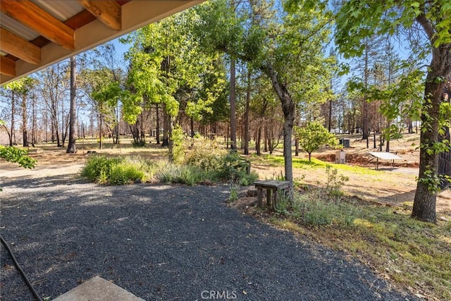 490 Vilas Rd, Chico, CA 95973 - view of yard with view of wooded area