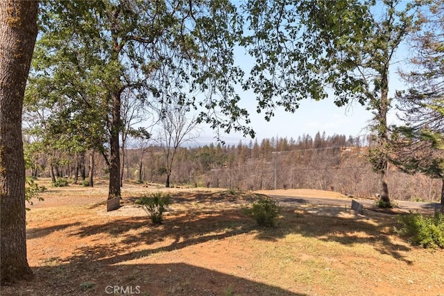 490 Vilas Rd, Chico, CA 95973 - view of yard with a view of trees