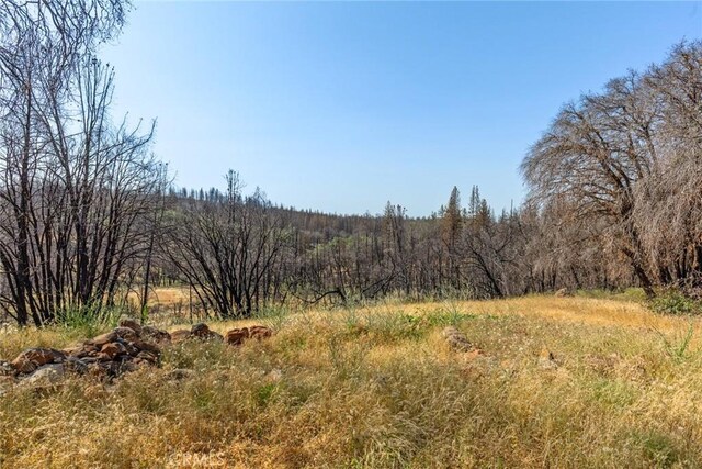 105 Harvey Rd, Chico, CA 95973 - photo 4