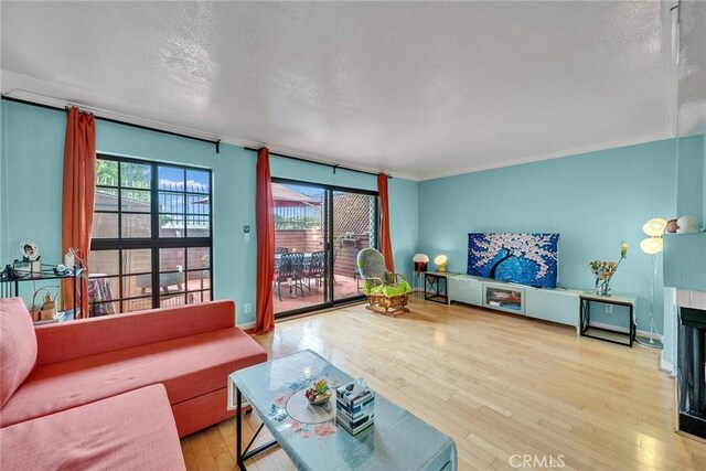 230 Bethany Rd Unit 127, Burbank, CA 91504 - living room with wood-type flooring and a textured ceiling