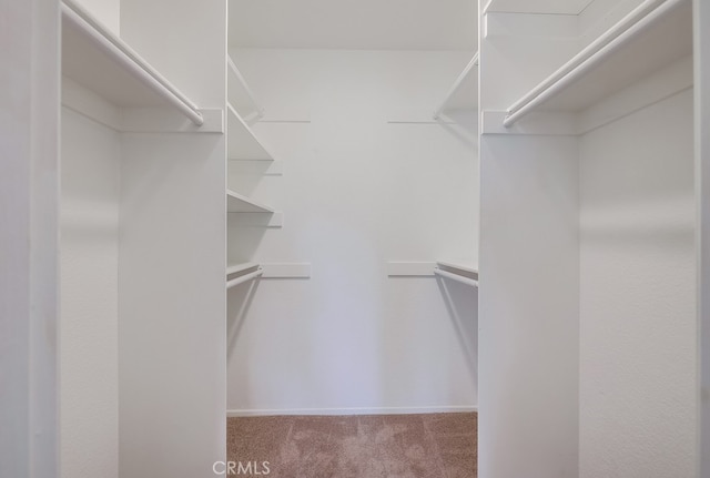 253 Gallery Way, Tustin, CA 92782 - spacious closet featuring carpet