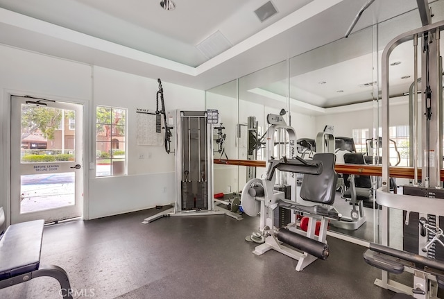 253 Gallery Way, Tustin, CA 92782 - gym with a tray ceiling