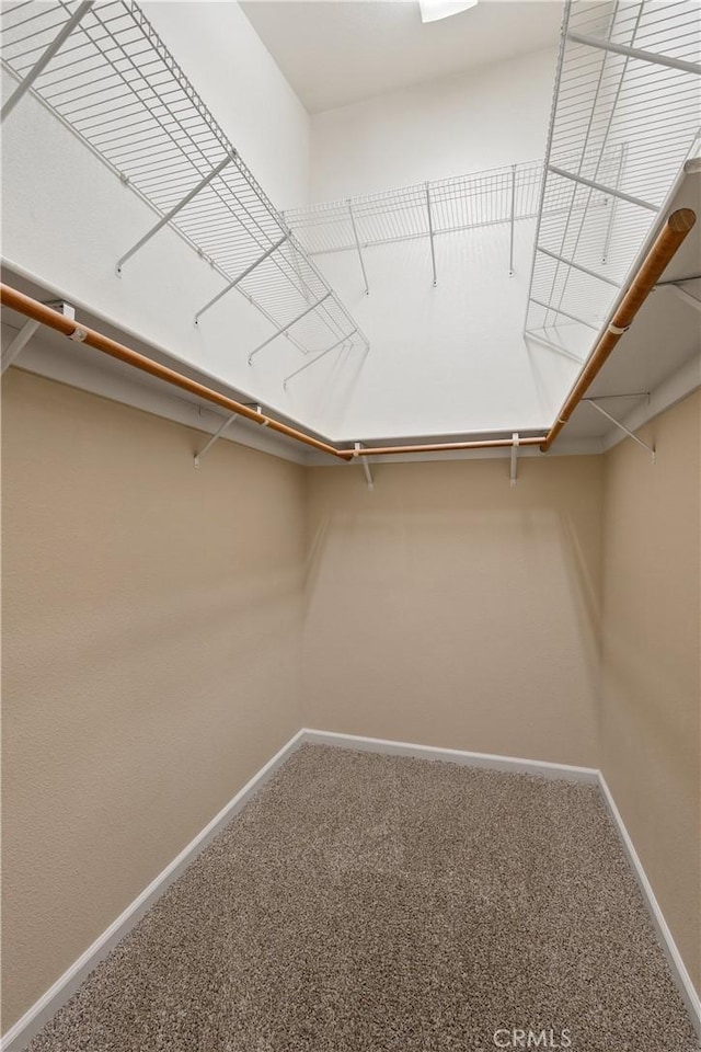 1033 Raven Ln, Chico, CA 95926 - walk in closet featuring carpet