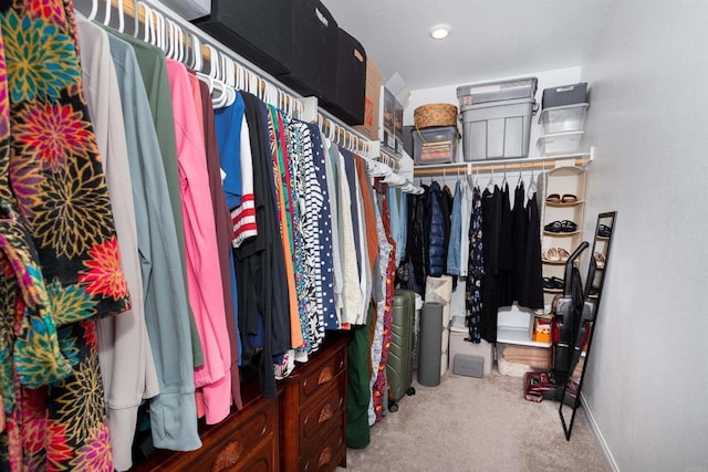 1807 Mesquite Way, Oceanside, CA 92056 - spacious closet with carpet floors
