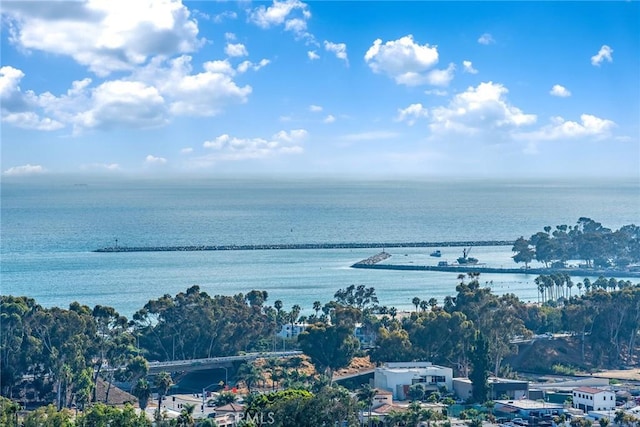 26290 Paseo Sillin, San Juan Capistrano, CA 92675 - water view with a notable bridge