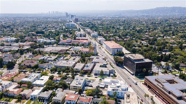 728 S Windsor Blvd, Los Angeles, CA 90005 - photo 34
