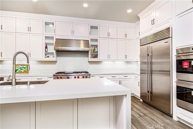 71 Einstein Way, Irvine, CA 92618 - kitchen featuring appliances with stainless steel finishes, range hood, a sink, light countertops, and white cabinetry