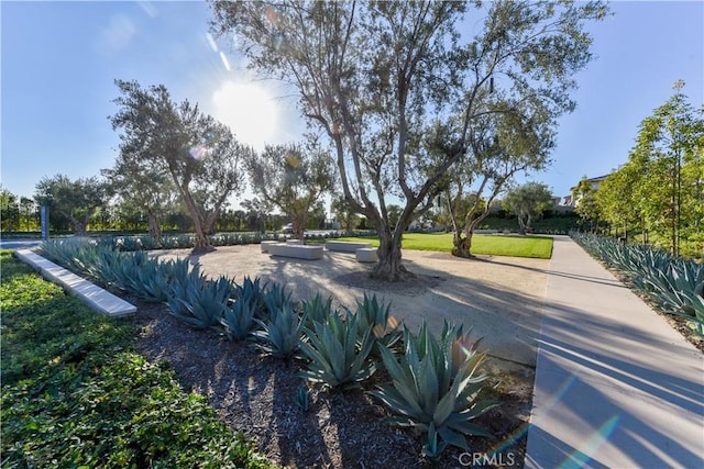 71 Einstein Way, Irvine, CA 92618 - view of swimming pool