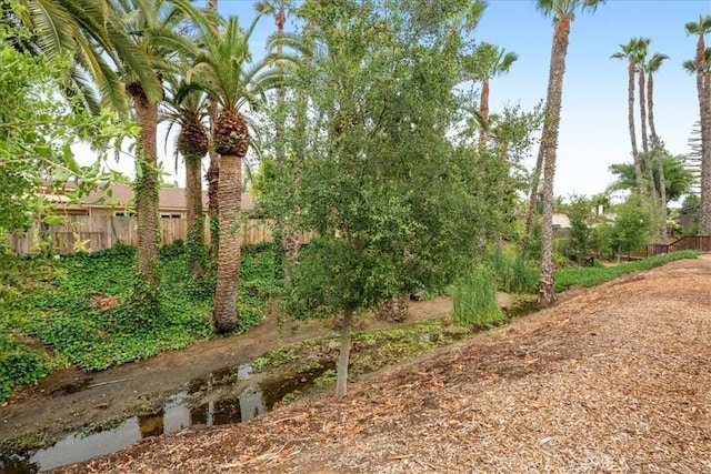 849 Shade Tree Ln, Fallbrook, CA 92028 - view of yard