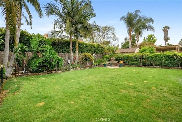 849 Shade Tree Ln, Fallbrook, CA 92028 - view of yard