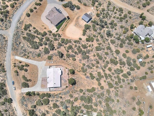 8250 Snow Cap Ave, Pinon Hills, CA 92372 - view of property location with a desert landscape