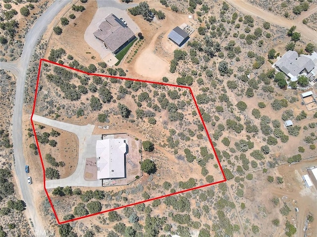 8250 Snow Cap Ave, Pinon Hills, CA 92372 - aerial view of property and surrounding area with property boundaries highlighted and a desert landscape