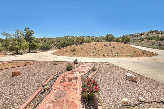 8250 Snow Cap Ave, Pinon Hills, CA 92372 - view of yard