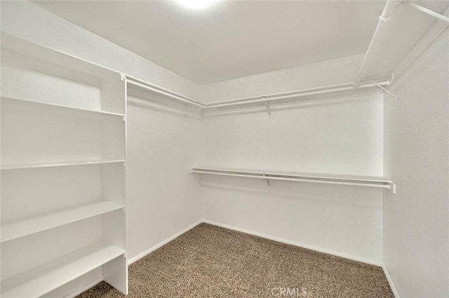 8250 Snow Cap Ave, Pinon Hills, CA 92372 - spacious closet with carpet flooring