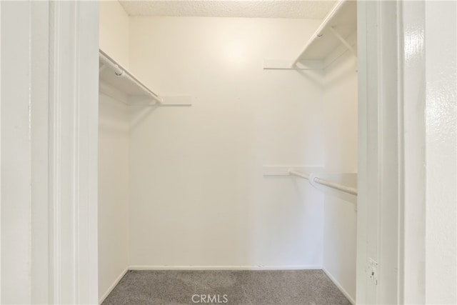 134 Orchard, Irvine, CA 92618 - photo 16