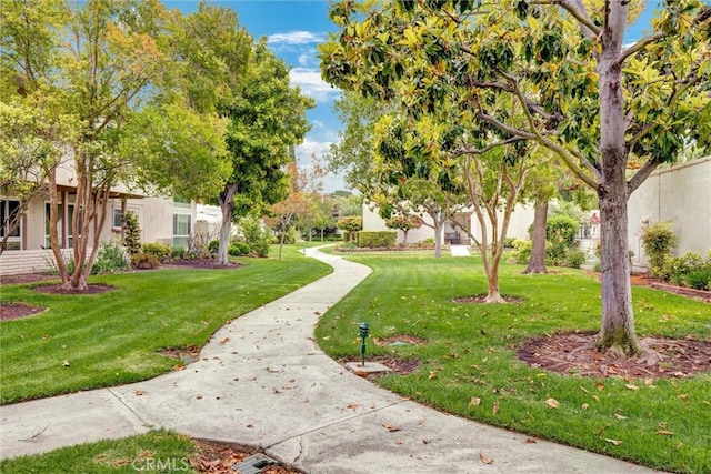 2160 Via Mariposa E Unit D, Laguna Woods, CA 92637 - view of property's community featuring a lawn