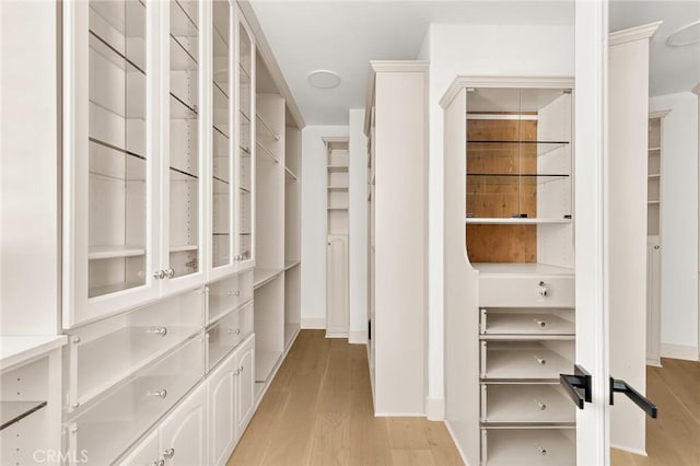 3 Seabluff, Newport Beach, CA 92660 - walk in closet featuring light wood-style flooring