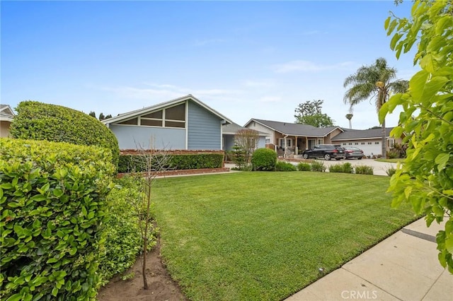 16900 Mayall St, North Hills, CA 91343 - view of green lawn