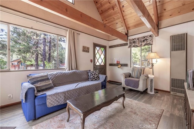 1100 Sugarloaf Blvd, Big Bear City, CA 92314 - living room featuring a heating unit, wood finished floors, wooden ceiling, and baseboards