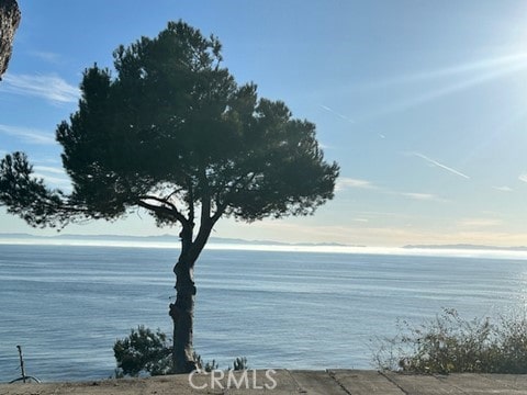 1201 W Paseo Del Mar, San Pedro, CA 90731 - photo 11