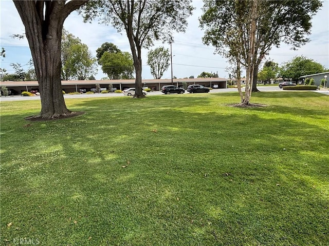 13800M1-39K Annandale Dr, Seal Beach, CA 90720 - view of green lawn