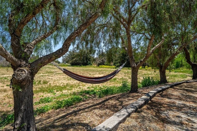 4950 Davenport Creek Rd, San Luis Obispo, CA 93401 - view of yard
