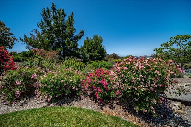 4950 Davenport Creek Rd, San Luis Obispo, CA 93401 - view of yard