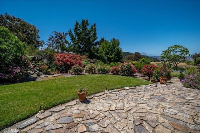4950 Davenport Creek Rd, San Luis Obispo, CA 93401 - view of grassy yard featuring a patio area
