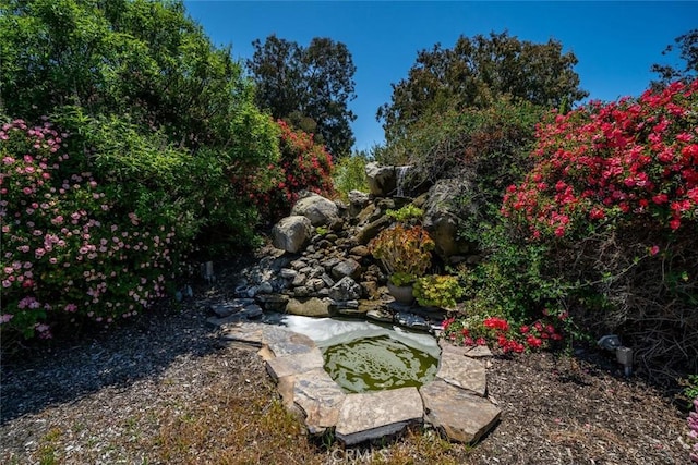 4950 Davenport Creek Rd, San Luis Obispo, CA 93401 - view of yard featuring a small pond