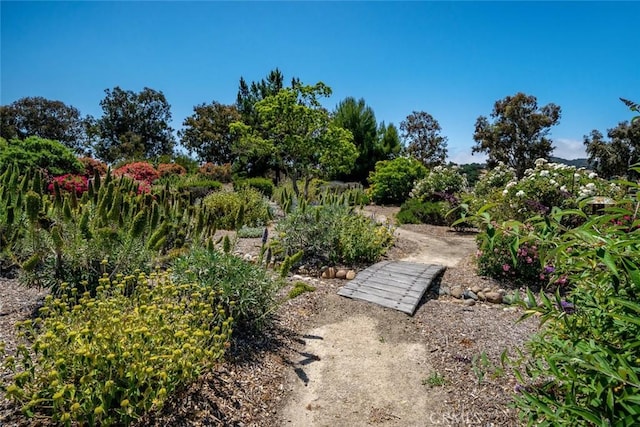 4950 Davenport Creek Rd, San Luis Obispo, CA 93401 - view of yard