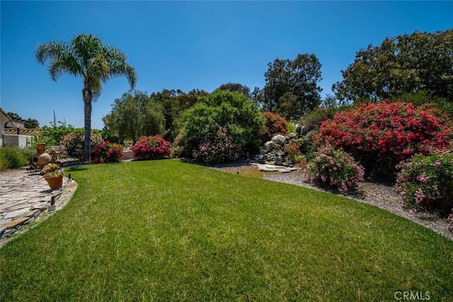 4950 Davenport Creek Rd, San Luis Obispo, CA 93401 - view of green lawn