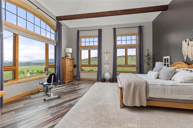 4033 Backbone Dr, Loveland, CO 80538 - photo 20