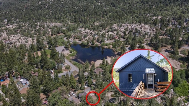 33310 Conway Dr, Running Springs, CA 92308 - view of subject property with a forest