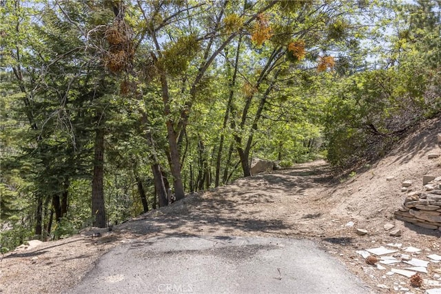 33310 Conway Dr, Running Springs, CA 92308 - view of street featuring a forest view