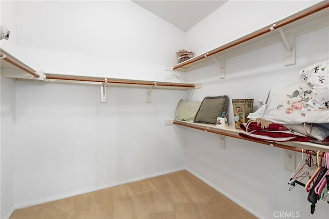 2811 N Preston St, Orange, CA 92867 - spacious closet with light carpet
