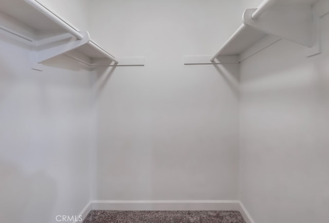 18417 Santar St, Rowland Heights, CA 91748 - spacious closet featuring carpet