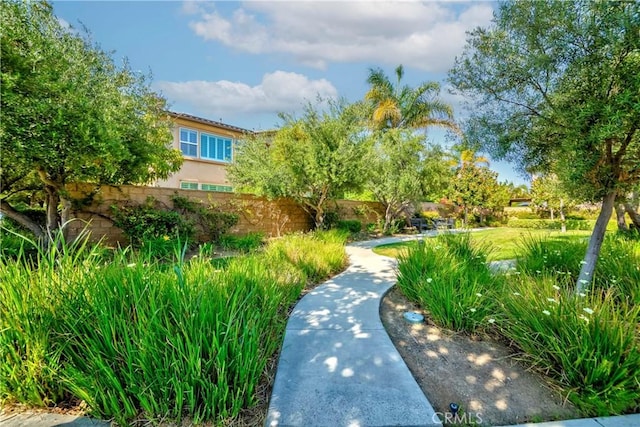 1330 W Marigold Ave, La Habra, CA 90631 - view of community