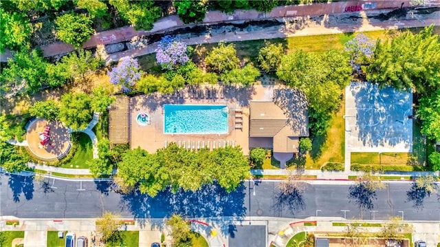 1330 W Marigold Ave, La Habra, CA 90631 - bird's eye view of a pool