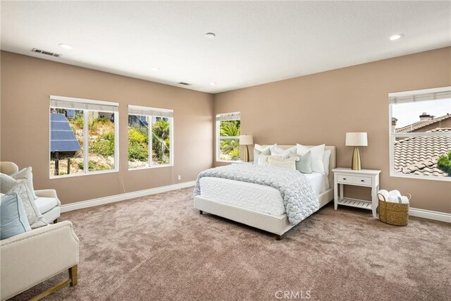 2437 N Eaton Ct, Orange, CA 92867 - photo 52